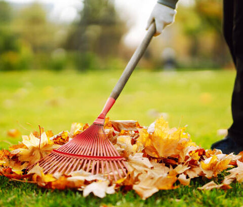 Gartenarbeiten im Herbst
