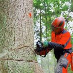 Gas oder Holzkohlegrill?