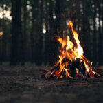 Schneiden der Bäume